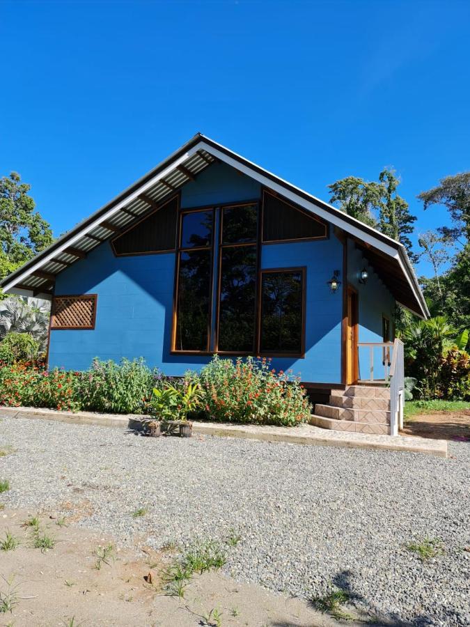 Casa Numu Villa Cahuita Dış mekan fotoğraf
